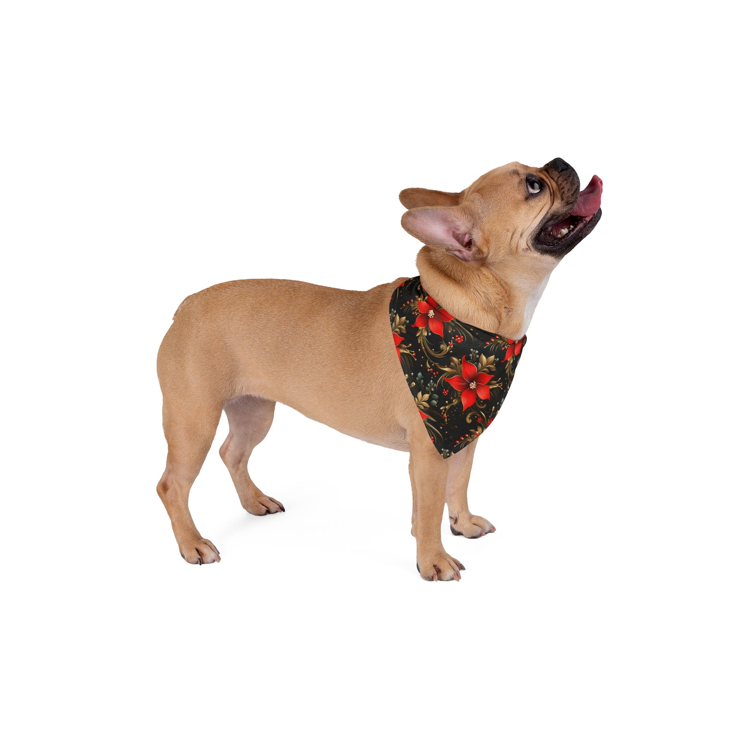 Pretty Poinsettias Pet Bandana