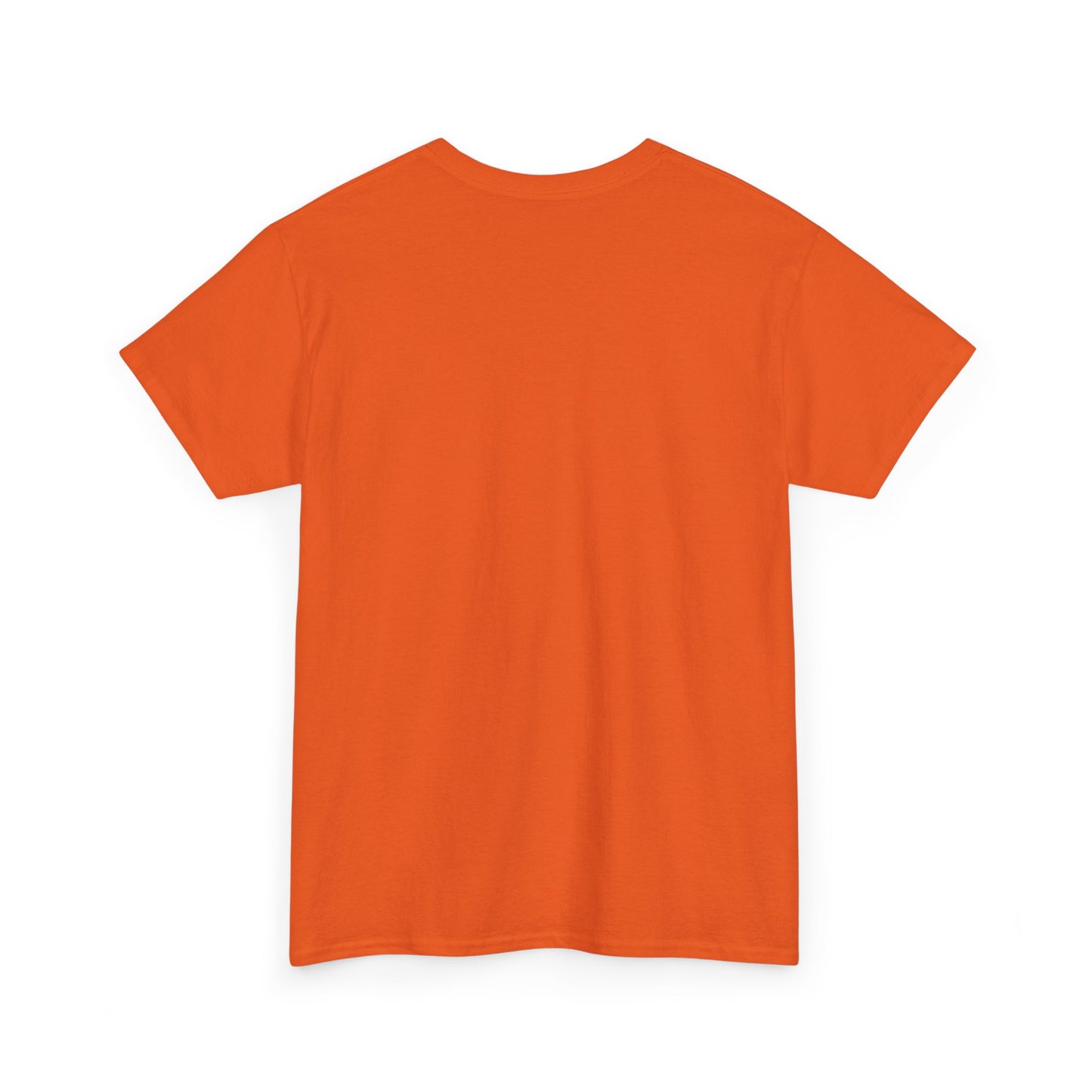 Cocoa Raccoon Unisex Heavy Cotton Tee