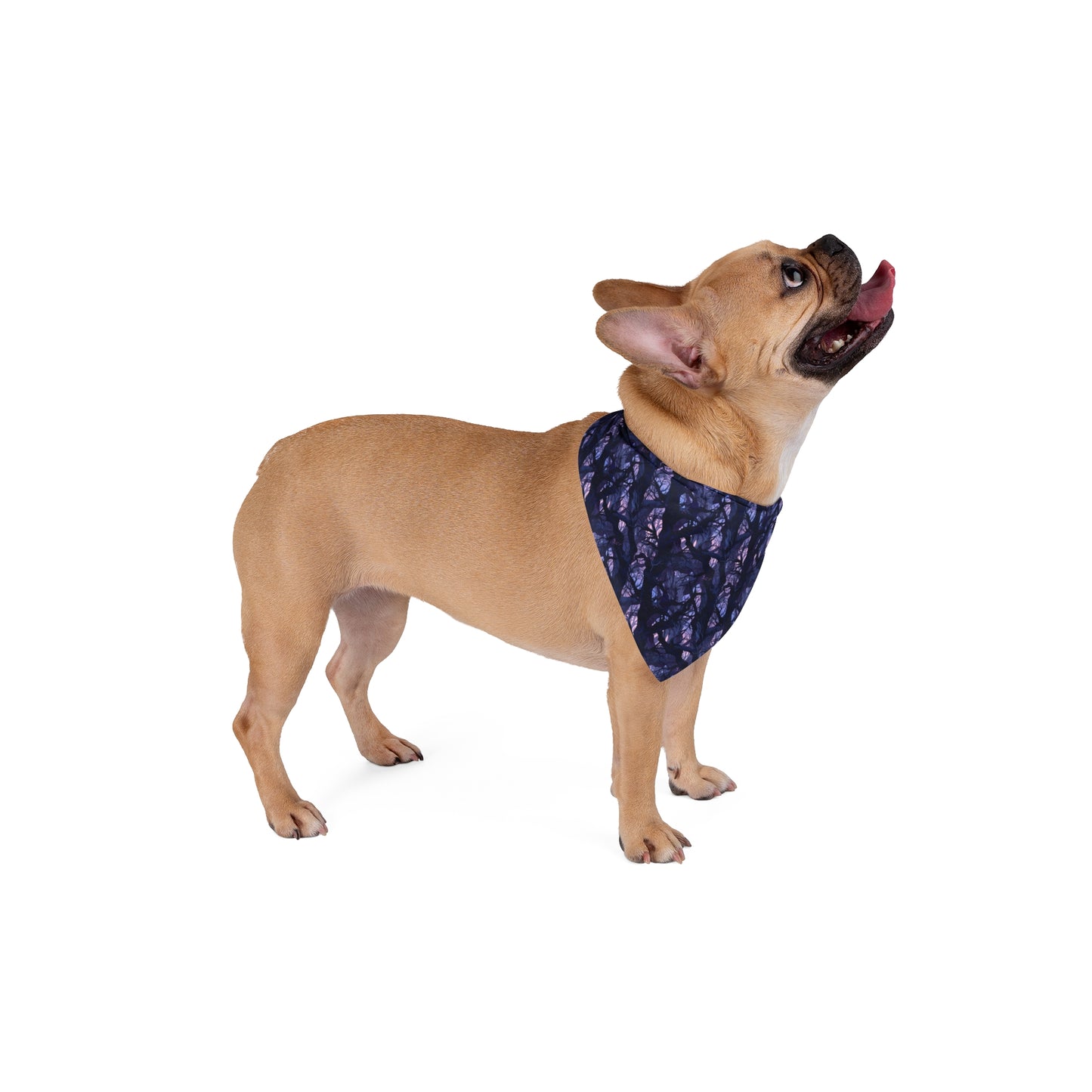 Haunted Forest Pet Bandana
