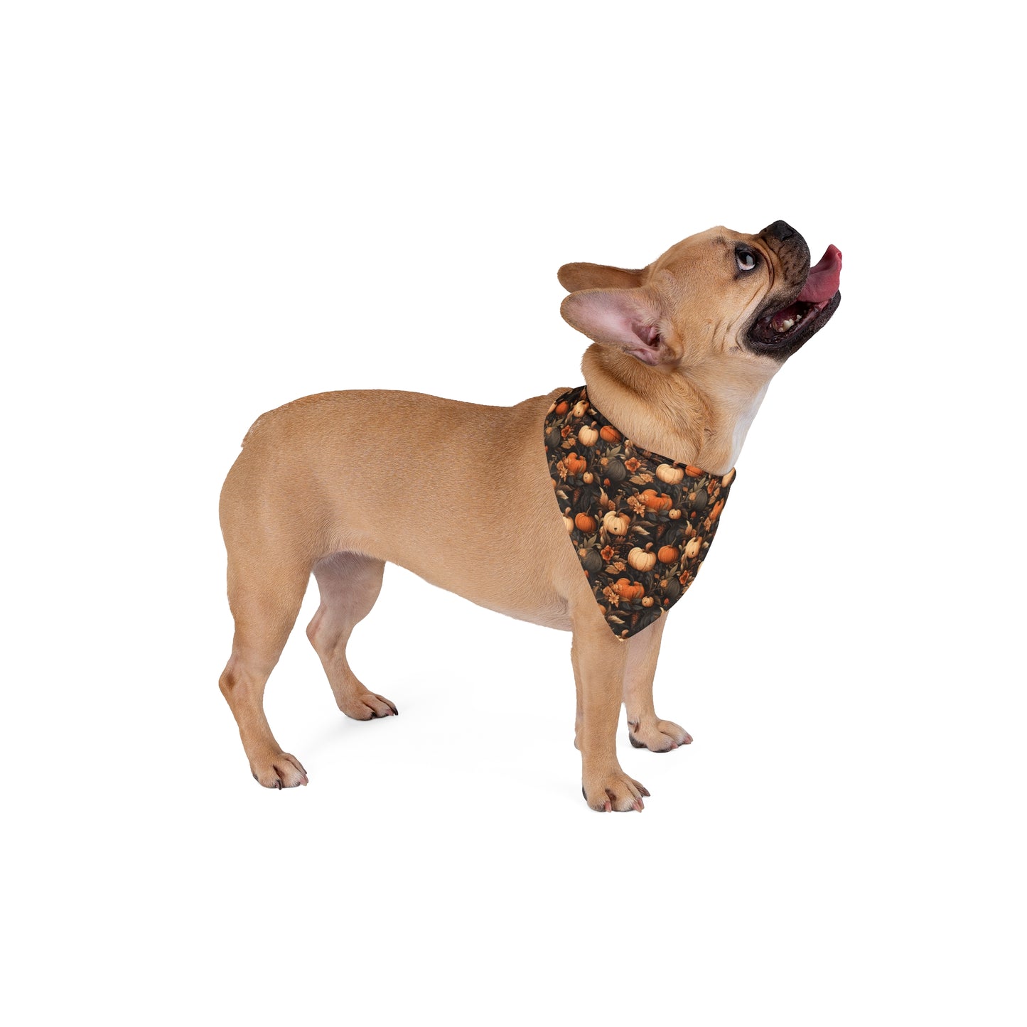 Pumpkin Harvest Pet Bandana