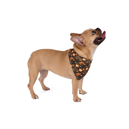 Pumpkin Harvest Pet Bandana
